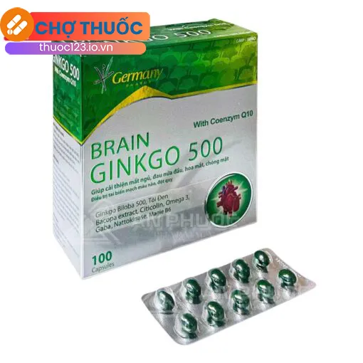 Brain Ginkgo 500