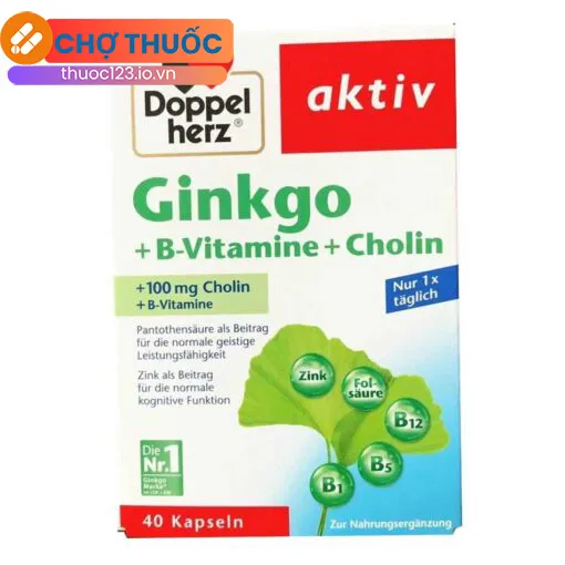 Ginkgo + B-Vitamine + Choline Doppelherz