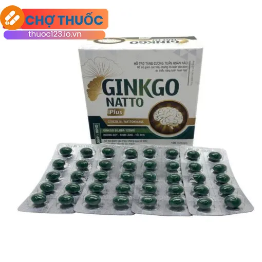 Ginkgo Natto Plus Vinaphar