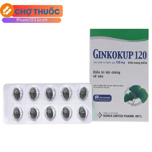 Ginkokup 120