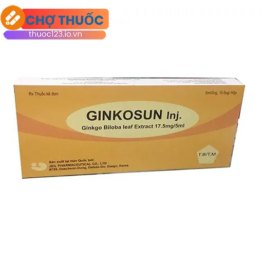 Ginkosun Inj.