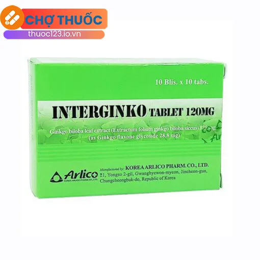 Interginko Tablet 120mg