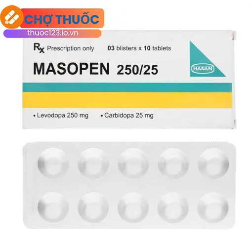 Masopen 250/25