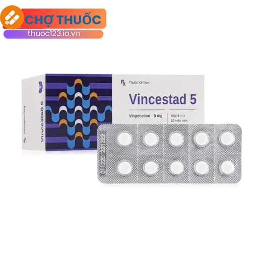 Vincestad 5